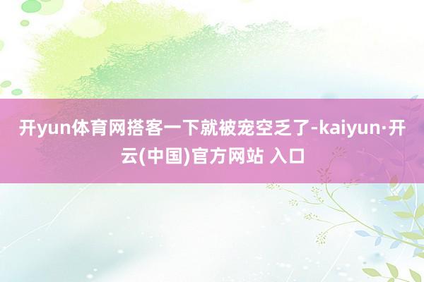   开yun体育网搭客一下就被宠空乏了-kaiyun·开云(中国)官方网站 入口