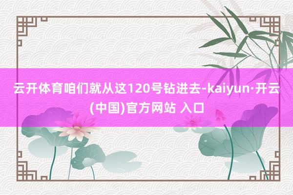 云开体育咱们就从这120号钻进去-kaiyun·开云(中国)官方网站 入口
