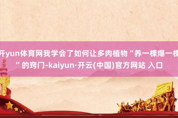 开yun体育网我学会了如何让多肉植物“养一棵爆一棵”的窍门-