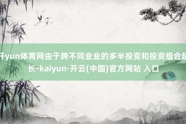 开yun体育网由于跨不同业业的多半投资和投资组合延长-kai