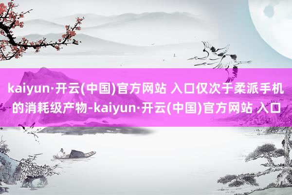   kaiyun·开云(中国)官方网站 入口仅次于柔派手机的消耗级产物-kaiyun·开云(中国)官方网站 入口