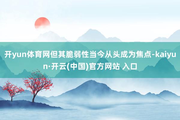 开yun体育网但其脆弱性当今从头成为焦点-kaiyun·开云(中国)官方网站 入口