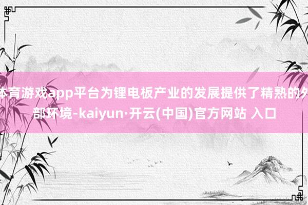 体育游戏app平台为锂电板产业的发展提供了精熟的外部环境-kaiyun·开云(中国)官方网站 入口