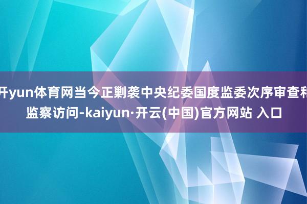 开yun体育网当今正剿袭中央纪委国度监委次序审查和监察访问-