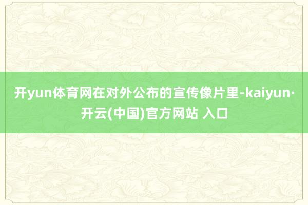 开yun体育网在对外公布的宣传像片里-kaiyun·开云(中