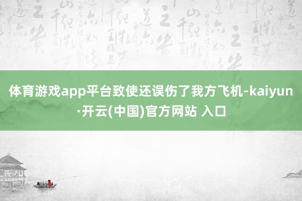 体育游戏app平台致使还误伤了我方飞机-kaiyun·开云(